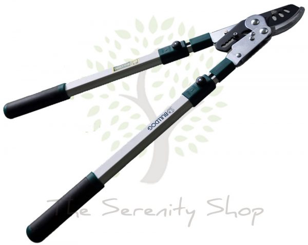 BULLDOG EVERGREEN - Bypass Ratchet Telescopic / Extendable Lopper - Image 2