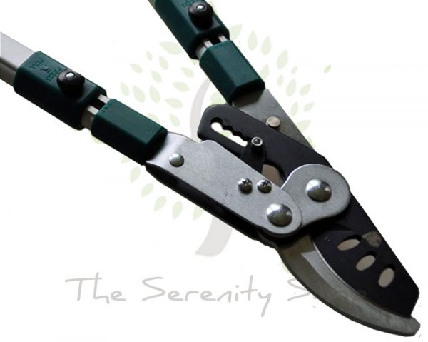 BULLDOG EVERGREEN - Bypass Ratchet Telescopic / Extendable Lopper - Image 5