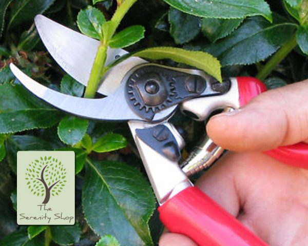 Darlac Expert Rotating Handle Pruner / Secateurs - Image 3