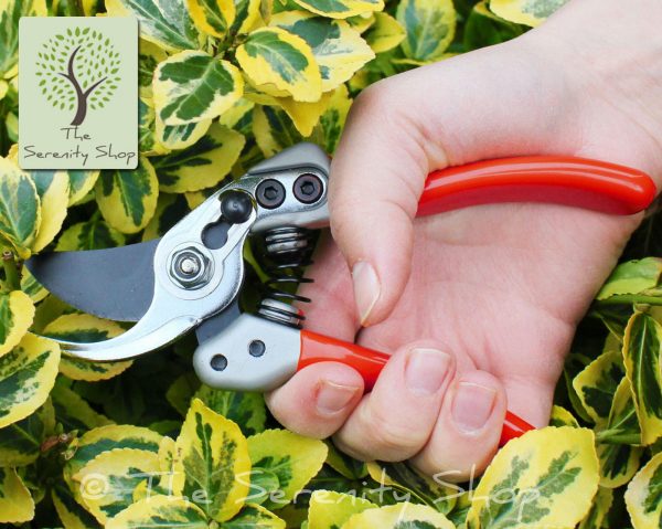 Darlac Expert Small Bypass Pruner - Image 2