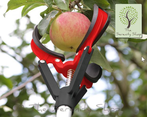 Darlac Telescopic Fruit Grabber / Picker - Image 3