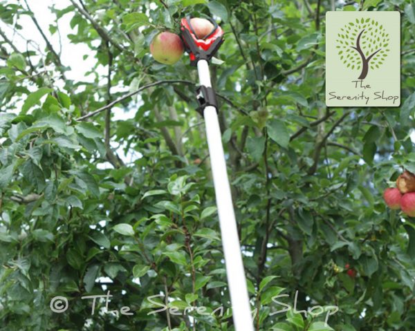 Darlac Telescopic Fruit Grabber / Picker - Image 4