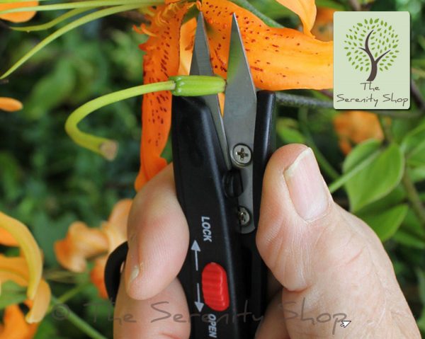Darlac Garden Deadheading Snips For Light Pruning - Image 2