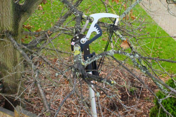 Darlac Expert Geared Bypass Tree Pruner - Image 4