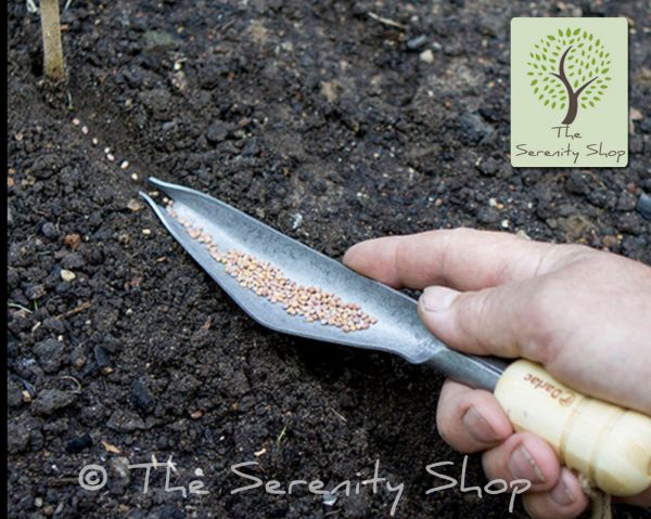 Darlac Garden Vintage Garden Weeding & Seeding Trowel with Bamboo handle - Image 2