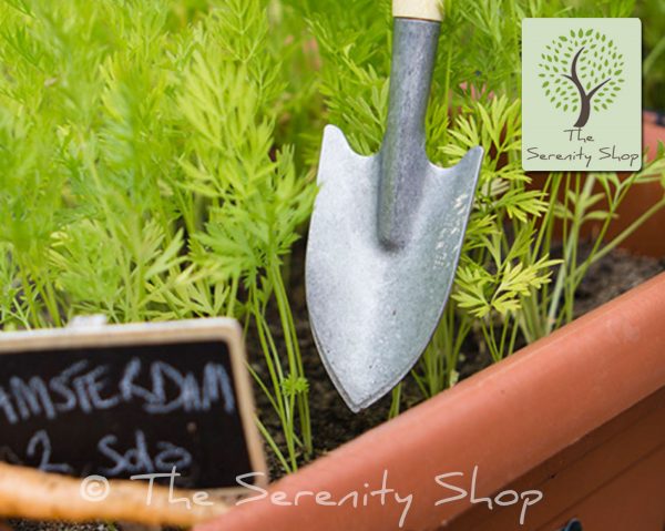 Darlac Garden Vintage Garden Mini Essentials Trowel with Bamboo handle - Image 3