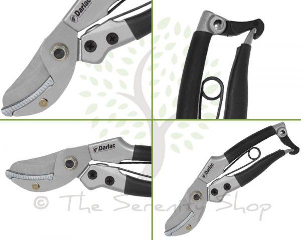 Darlac Garden Compact Anvil Pruners / Secateurs - Image 3