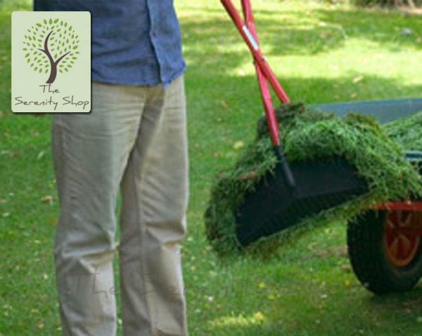 Darlac Garden Grab and Lift Leaf Clearing - Image 3