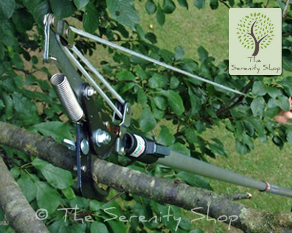 Darlac Garden Swop Top Tree Pruner - Image 3