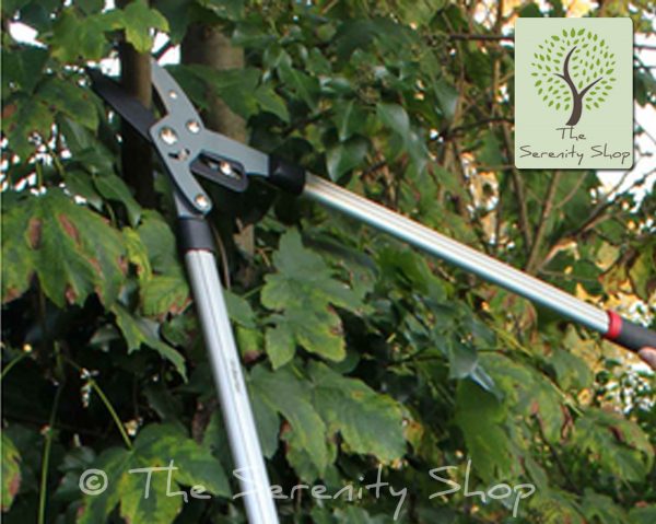 Darlac Heavy Duty Compound Action Lopper - Image 2