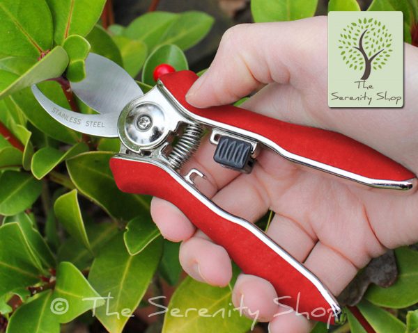 Darlac Mini Bypass Pruner / Secateurs - Image 3