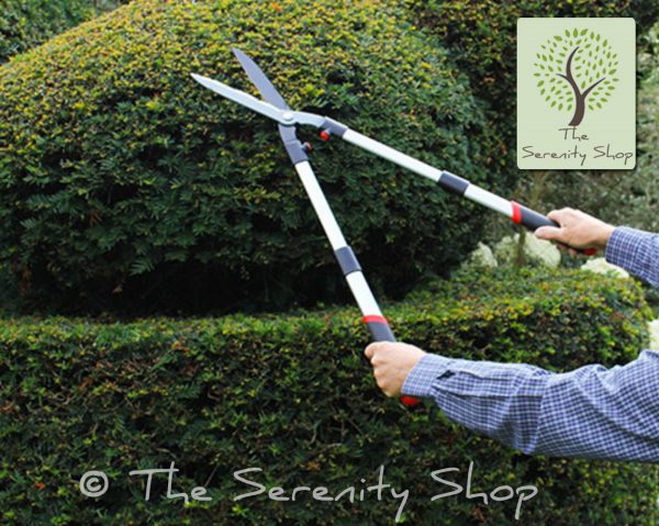 Darlac Garden Flip-Lok Telescopic Hedging Shear - Image 2