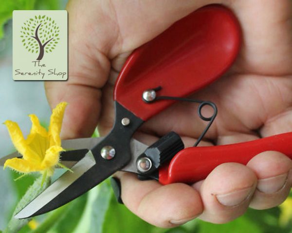 Darlac Garden Floral Shear / Scissor - Image 3