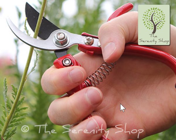 Darlac Garden Ergo Pruner / Secateurs - Image 3