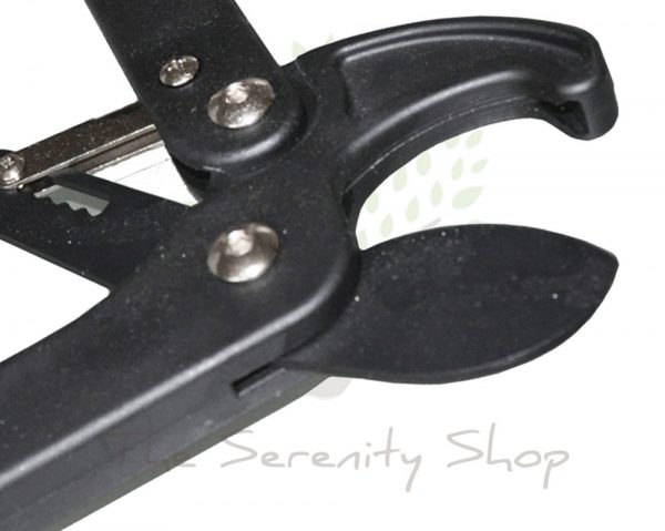 Darlac Handy Ratchet Lopper - Image 3