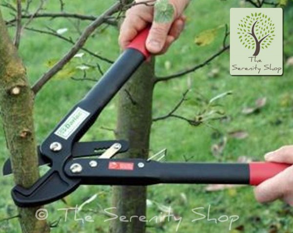 Darlac Handy Ratchet Lopper - Image 4