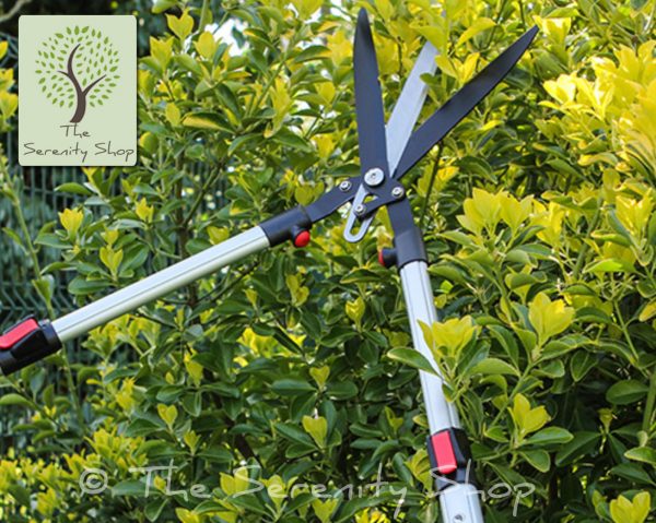 Darlac Tri Blade Shear Telescopic Aluminium Handles - Image 4