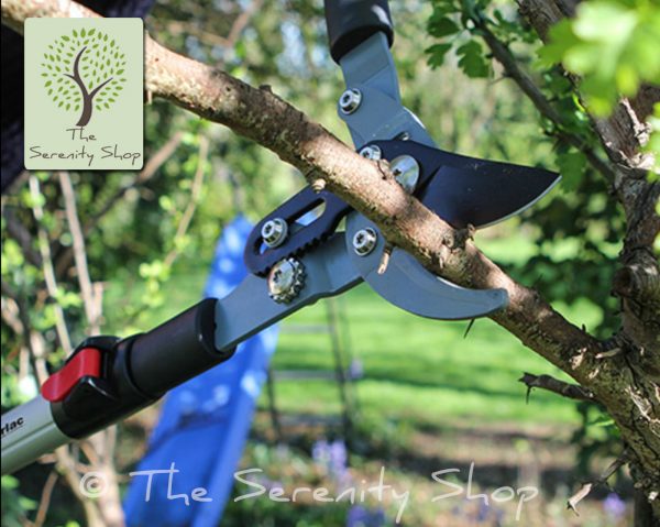 Darlac Garden Telescopic Bypass Lopper - Image 2