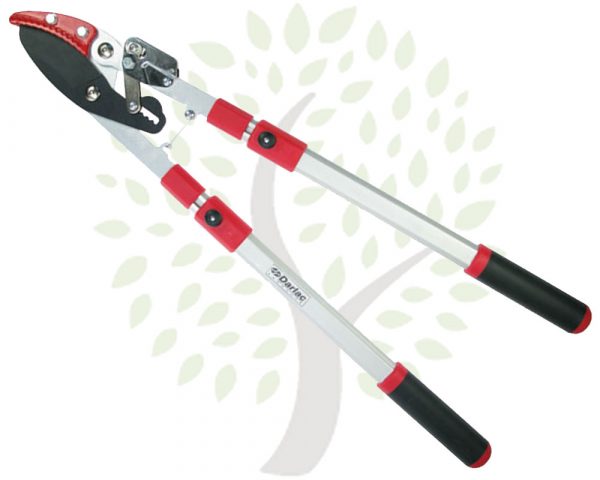 Darlac Heavy Duty Telescopic Ratchet Loppers