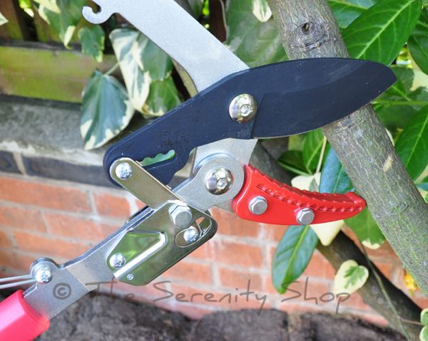 Darlac Heavy Duty Telescopic Ratchet Loppers - Image 4