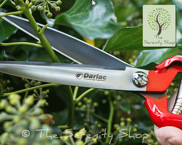 Darlac Perennial Hand Shear - Image 2