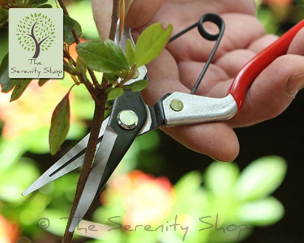 Darlac Garden Vine Scissors / Snips - Image 2