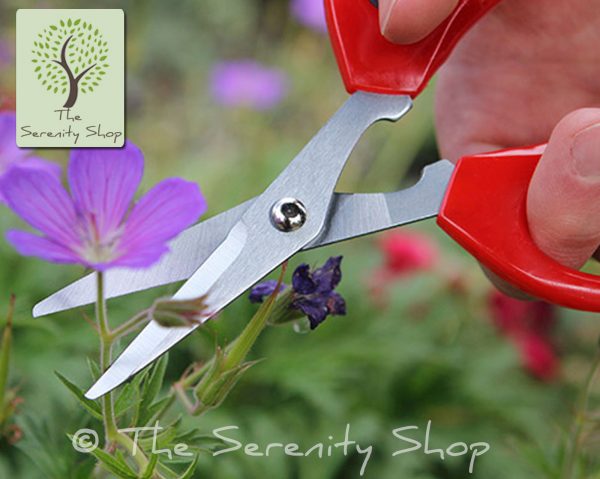Darlac Garden Softies Scissors - Image 3