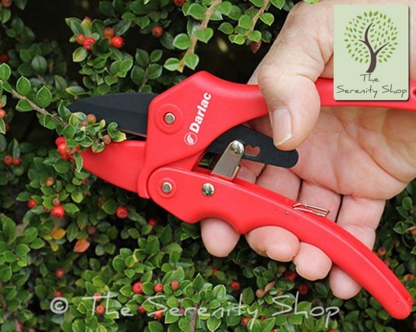 Darlac Ratchet Pruner / Secateurs - Image 2