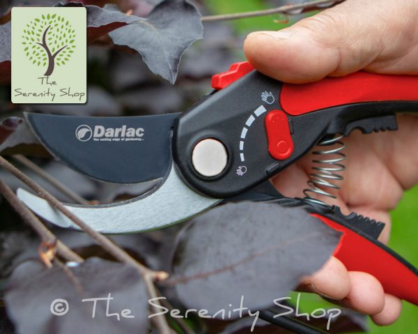 Darlac Garden Adjustable Bypass Pruner/ Secateurs - Image 2