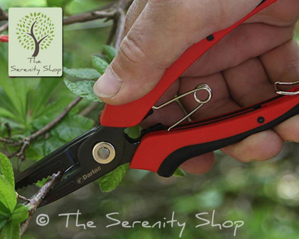 Darlac Garden Cut 'N' Hold Flower Snips (Pruners / Secateurs - Image 2