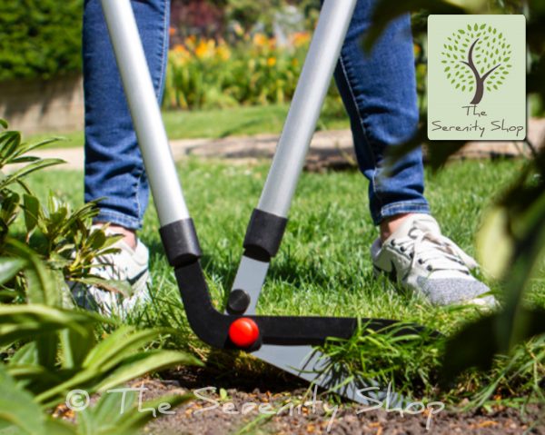 Darlac Garden Edging Shear - Image 3